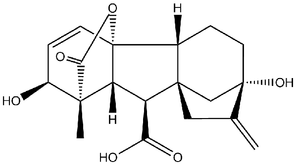 赤霉素GIBBERELLIC ACID，居然有這么神奇？